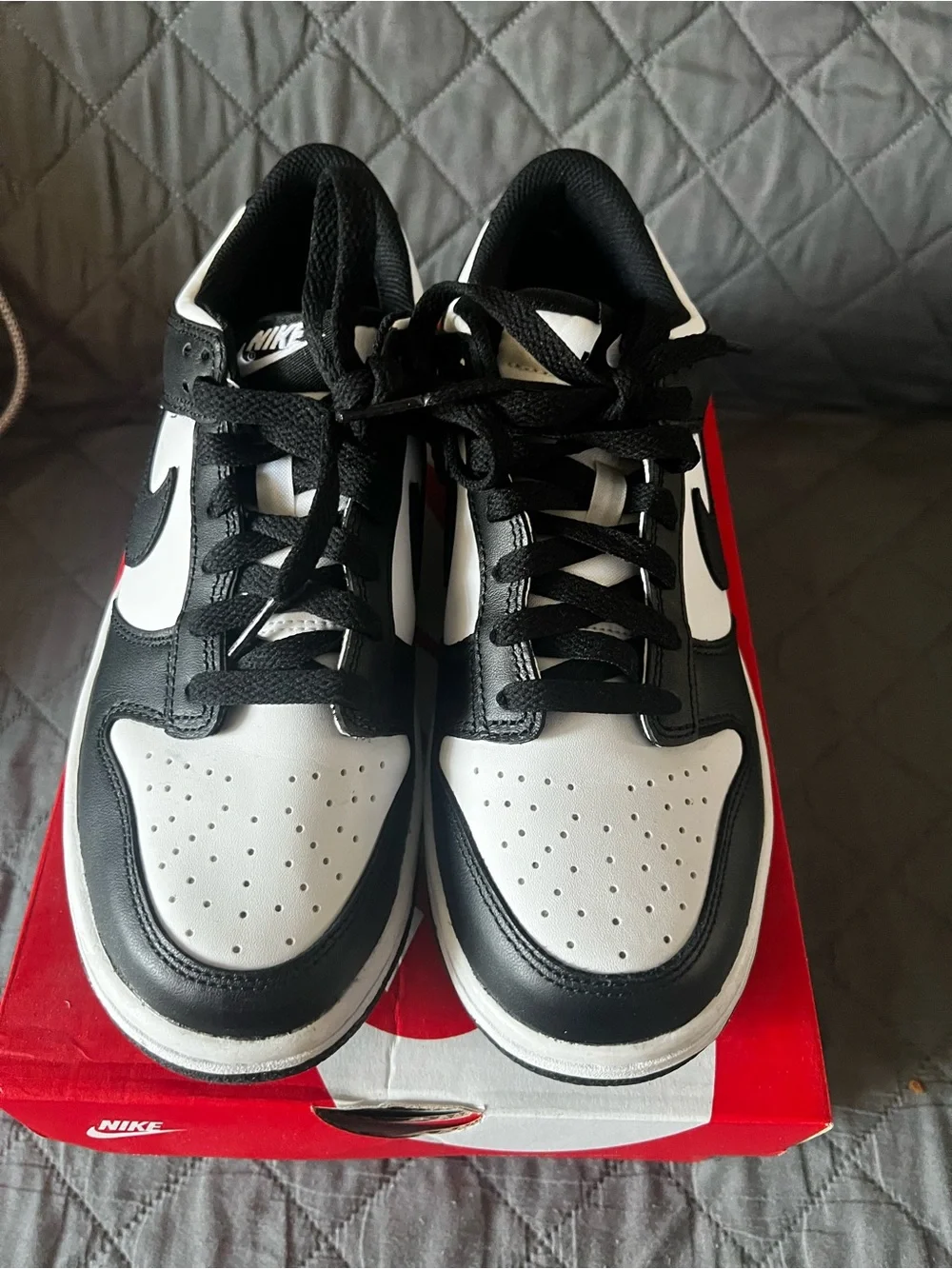 Nike iconic dunk